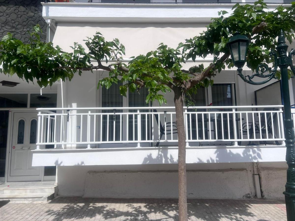 Zoi's Stylish Kallithea (Chalkidiki)